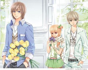 深入了解 蘑菇Tv网页版直接进入